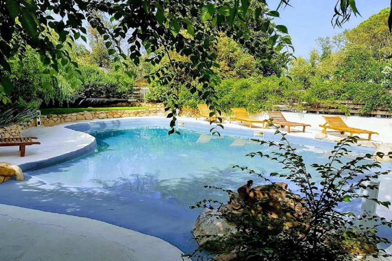 Salvacintoggio -Votre Villa Avec Piscine Privee- Porto-Vecchio  Exterior foto